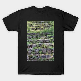 The forgotten stairway T-Shirt